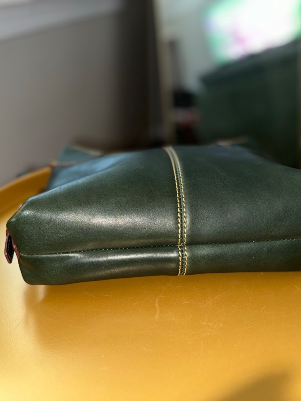 Dooney & Bourke Florentine Leather Small Federica Crossbody — Ivy - Picture 3 of 8